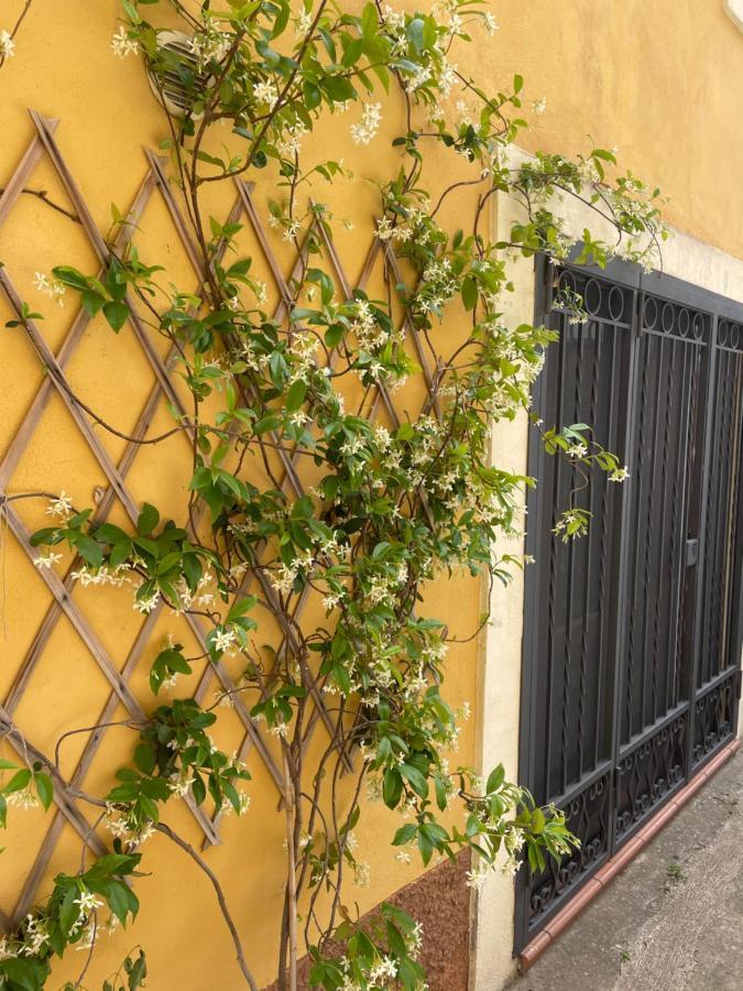 B&B Mela Roggiano Gravina 외부 사진